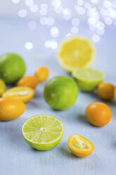 Limes, lemons and kumquats - JUNF01030