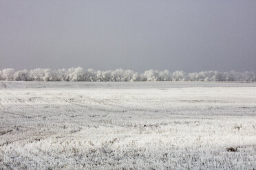 Schneebedeckte Landschaft gegen den Himmel - CAVF24494