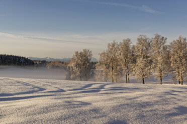 Germany, Bavaria, Geretsried, winter landscape in the morning - LHF00546