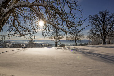 Deutschland, Bayern, Eurasburg, Blick auf das Loisachtal im Winter gegen die Sonne - LHF00550