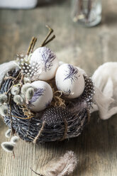 Painted Easter eggs, nest, feathers and willow catkins - SBDF03483