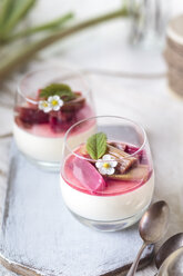 Glasses of Panna Cotta with roasted rhubarb - SBDF03487