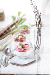 Glasses of Panna Cotta with roasted rhubarb - SBDF03489