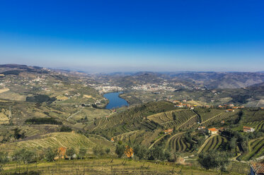 Portugal, Douro-Tal mit Fluss Douro - THAF02147