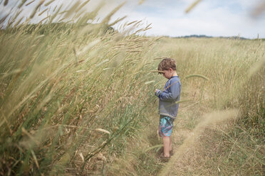 Junge steht auf einem Feld im A_o Nuevo State Park - CAVF24684