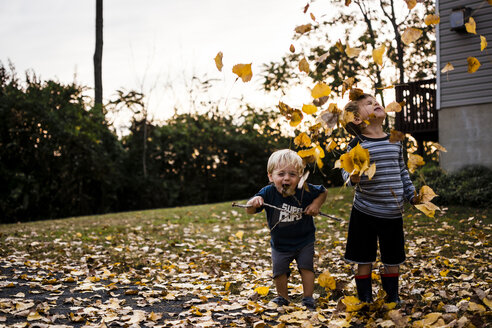 Fröhliche Brüder spielen im Herbst mit Ahornblättern im Hinterhof - CAVF24741