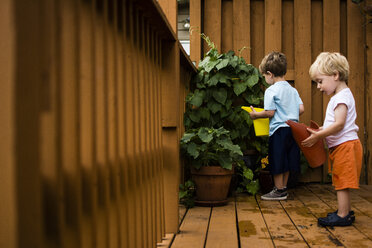 Brüder gießen Pflanzen, während sie auf der Veranda stehen - CAVF24744