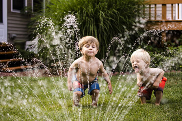Glückliche Brüder spielen mit dem Rasensprenger im Hinterhof - CAVF24747