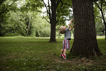 Boy with stick standing on tiptoe by tree trunk - CAVF24762