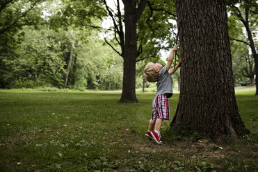 Junge mit Stock auf Zehenspitzen am Baumstamm stehend - CAVF24762