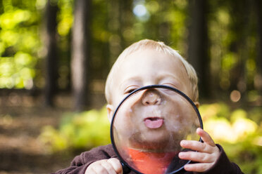 Nahaufnahme eines Jungen, der ein Vergrößerungsglas hält, während er im Wald steht - CAVF24771