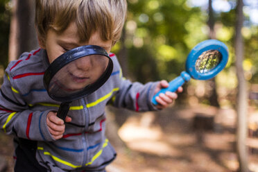 Boy playing with magnifying glass in forest - CAVF24773