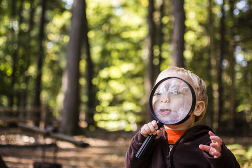 Niedlicher Junge schaut durch ein Vergrößerungsglas, während er im Wald steht - CAVF24774