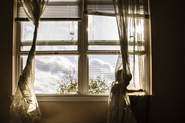 Junge spielt mit Vorhang am Fenster zu Hause - CAVF24791