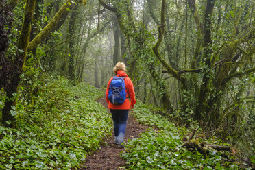 Spain, Canary Islands, La Gomera, woman hiking through cloud forest at Garajonay National Park - SIEF07757