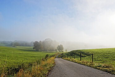 Deutschland, Bayern, Oberbayern, Landschaft bei Icking im Morgennebel - LHF00554