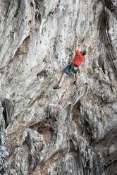 Thailand, Krabi, Lao Liang, climber in rock wall - ALRF01024