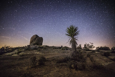 Landschaft gegen Sternenfeld bei Nacht - CAVF24848