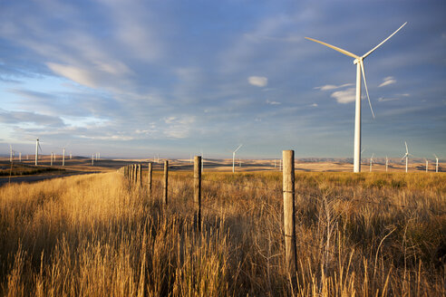 Windmühlen auf dem Feld am Zaun gegen bewölkten Himmel - CAVF24918
