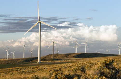 Windmühlen auf Landschaft gegen bewölkten Himmel - CAVF24924