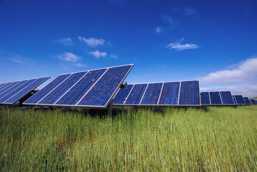 Solar panels on grassy field against blue sky - CAVF24973