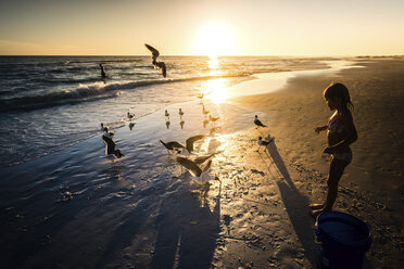 Hohe Winkel Ansicht von Mädchen Blick auf Vögel am Strand bei Sonnenuntergang - CAVF25049