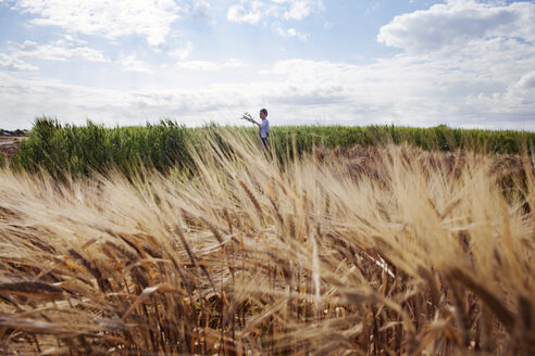 Fernansicht einer Bäuerin bei der Arbeit auf einem Weizenfeld - CAVF25139