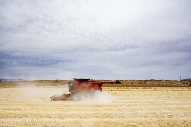 Mähdrescher in Bewegung auf einem landwirtschaftlichen Feld gegen den Himmel - CAVF25141