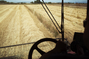 Ausgeschnittenes Bild eines Landwirts, der einen Mähdrescher auf einem Weizenfeld fährt - CAVF25142