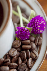 Close-up of globe amaranth flowers on roasted coffee beans in saucer - CAVF25151