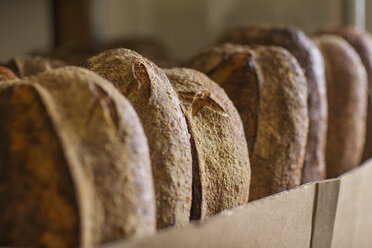 Artisanal bread loafs in paper bag at bakery - CAVF25177