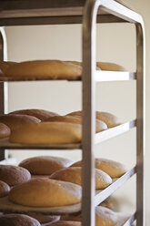 Raw bread dough in rack at bakery - CAVF25189