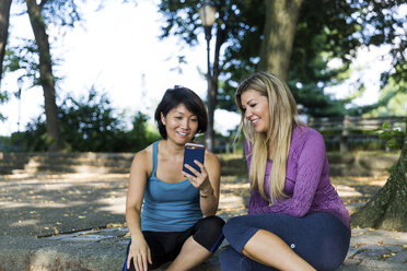 Freunde schauen auf ihr Smartphone, während sie auf einer Stützmauer im Park sitzen - CAVF25889