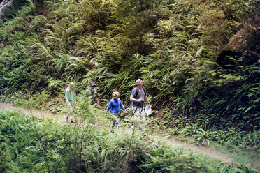 High angle view of friends walking on road amidst trees - CAVF25956