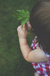 High angle view of girl playing with leaf while standing on field - CAVF26375