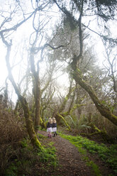 Rear view of twin girls walking on road amidst bare trees - CAVF26395