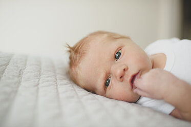 Close-up portrait of baby boy lying on bed at home - CAVF26445
