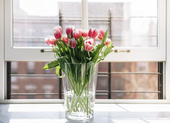 Frische Tulpen in Vase am Fenster - CAVF26571