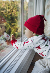 Kleiner Junge schaut durch das Fenster zu Hause - CAVF26659