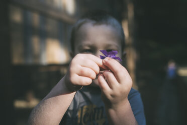 Junge hält lila Blume im Freien - CAVF26677