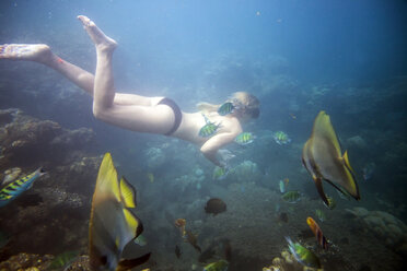 Woman swimming in sea - CAVF26779