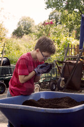 Junge untersucht den Boden bei der Gartenarbeit im Gemeinschaftsgarten - CAVF26883