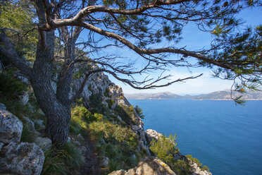 Spanien, Balearische Inseln, Mallorca, Halbinsel Alcudia, Wanderweg zur Penya del Migdia - WWF04218