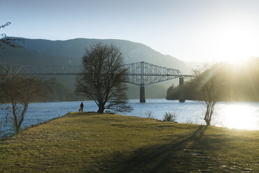 Distant view of hiker with Golden Retriever standing at riverbank by cantilever bridge - CAVF27116