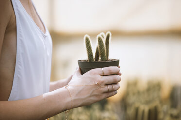 Beschnittenes Bild einer Frau, die eine Kaktuspflanze in der Hand hält - CAVF27153
