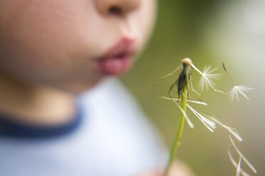 Nahaufnahme eines Jungen, der Löwenzahn bläst - CAVF27162