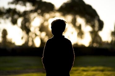 Rear view of silhouette boy standing on field - CAVF27178
