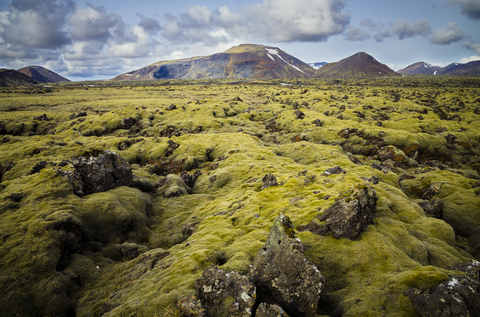 Iceland, South of Iceland, moss-grown volcanic rock stock photo