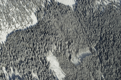 Österreich, Salzkammergut, Luftaufnahme eines Nadelwaldes im Winter, lizenzfreies Stockfoto