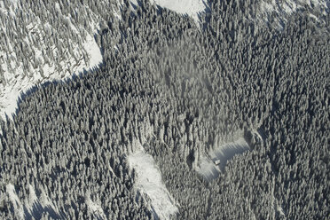 Österreich, Salzkammergut, Luftaufnahme eines Nadelwaldes im Winter - STCF00511